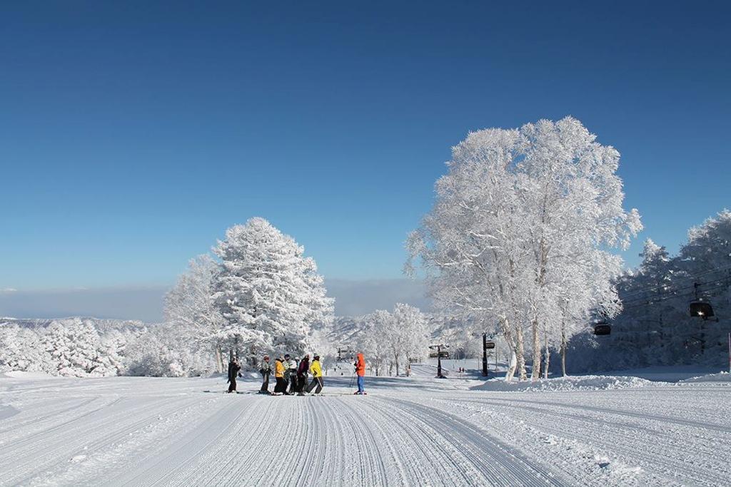 Nozawaonsen Guest House Miyazawa Εξωτερικό φωτογραφία